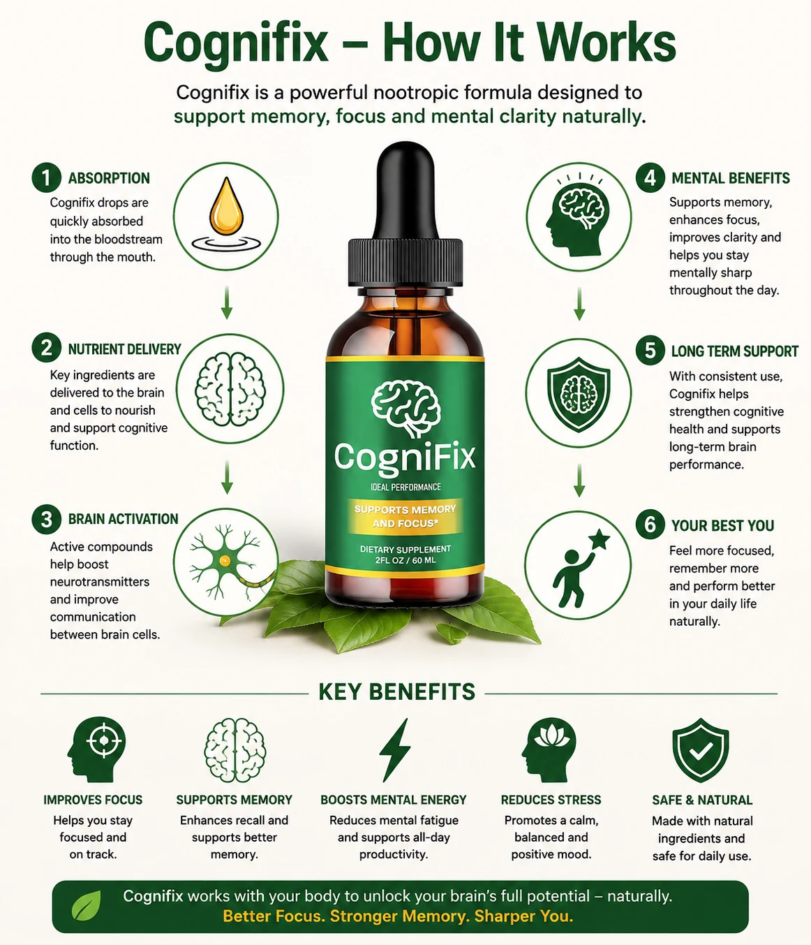 How CogniFix works — absorption, nutrient delivery, brain activation, mental benefits, long-term support and your best you